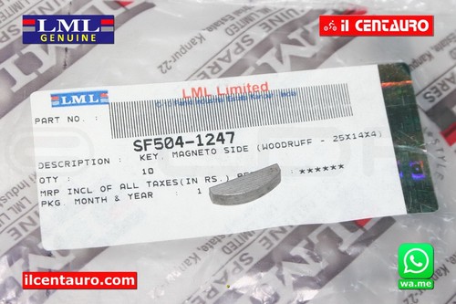 Sf504 1247 chiavella - sf504-1247,
