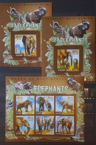 T504 animali fauna 2015 - t504.animali, sierra
